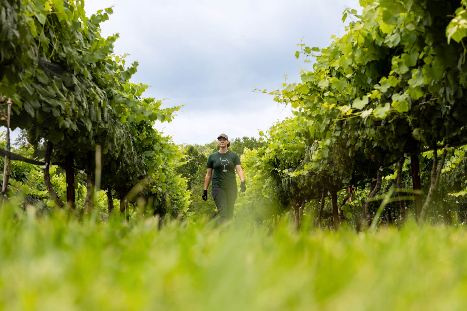 Amelia Lyons walks between the vines during her time as an intern at Stonewall Creek.