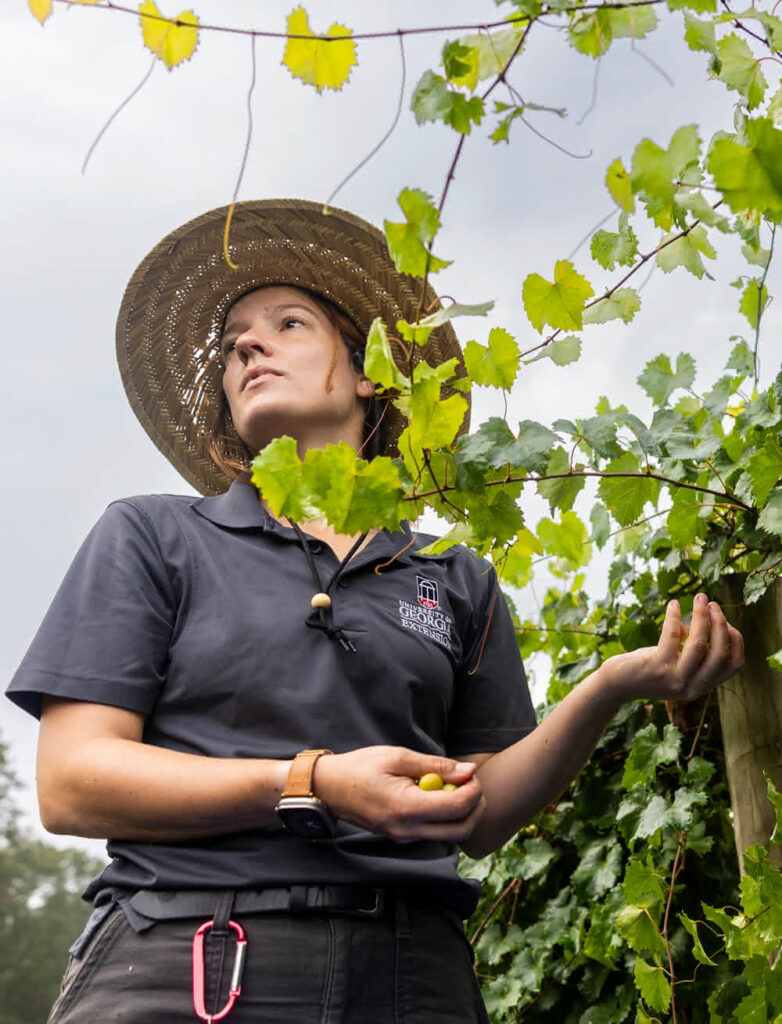 Extension Viticulturist and Assistant Professor of Research Sarah Lowder