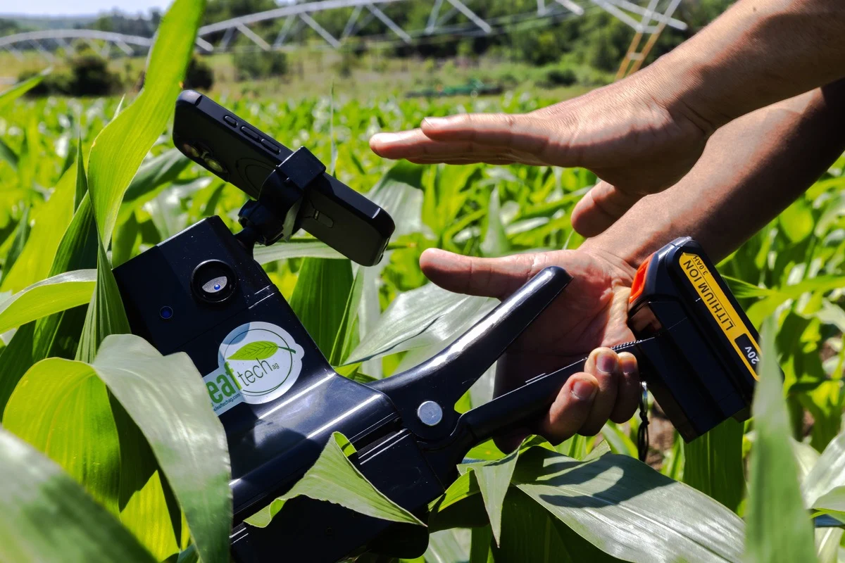 UGA Grand Farm director Lenin Rodriguez takes readings of a corn leaf using a digital device.