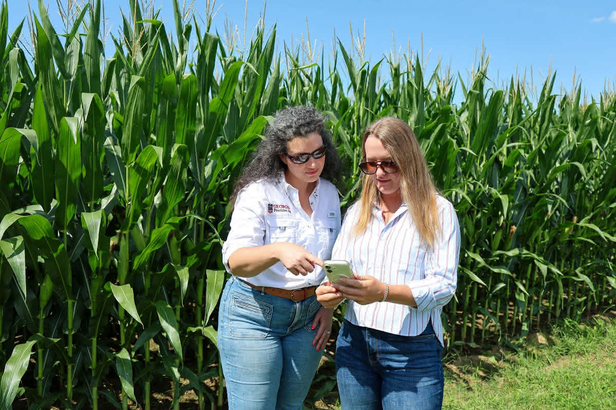Two women wearing sunglasses stand in front of a lush green cornfield, looking together at a smartphone screen as one points at the display.